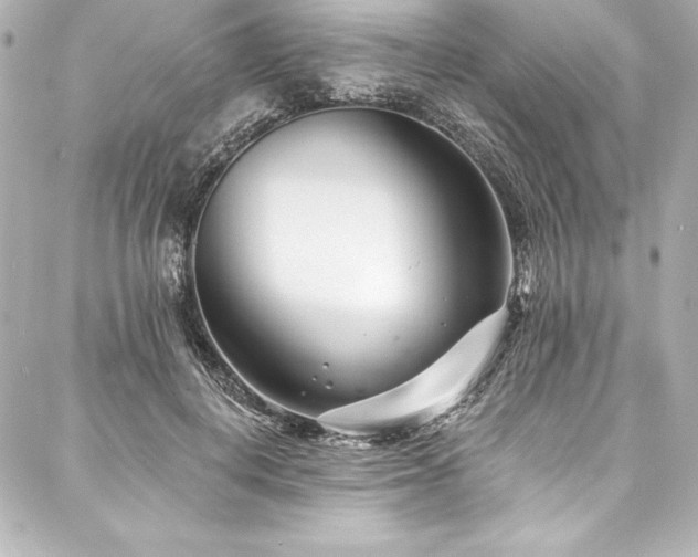 X0000088040648200705111232