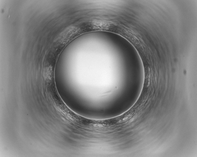 X0000088040649200705111232