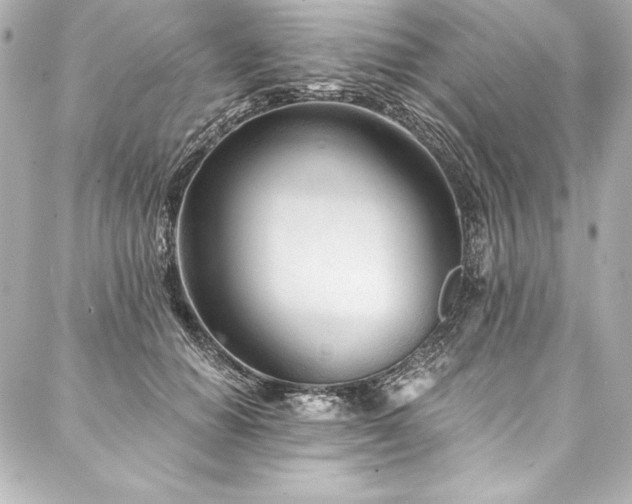 X0000088040654200705111232