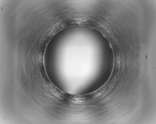 X0000088040657200705111232