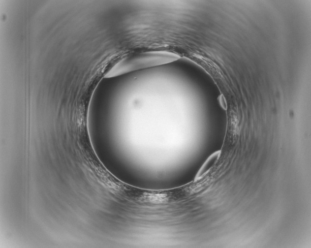 X0000088040665200705111232