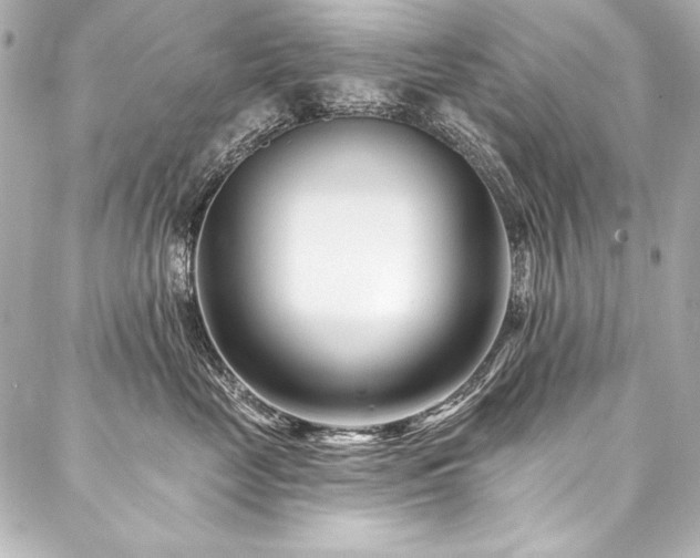 X0000088040669200705111232
