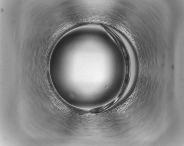 X0000088040673200705111231
