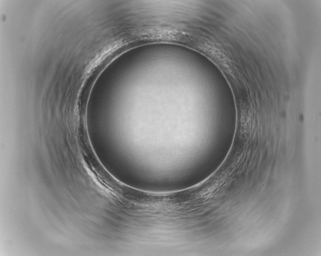X0000088040674200705111231