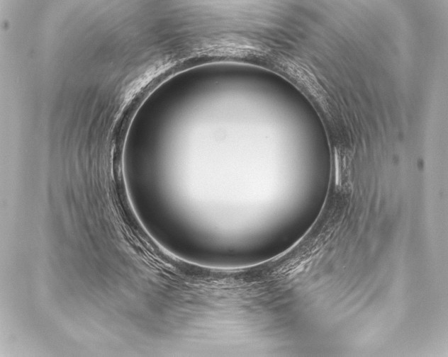 X0000088040675200705111231
