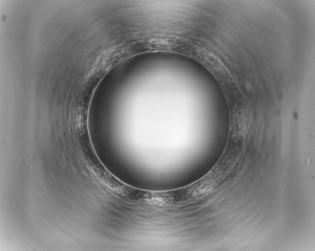 X0000088040706200705111231