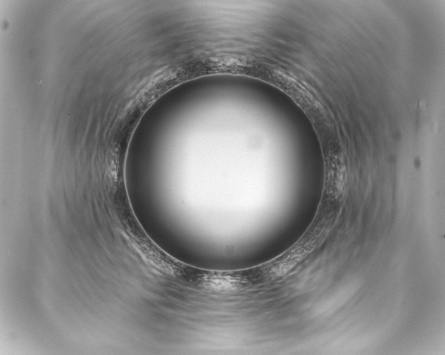 X0000088040710200705111231