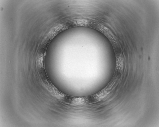 X0000088040717200705111231