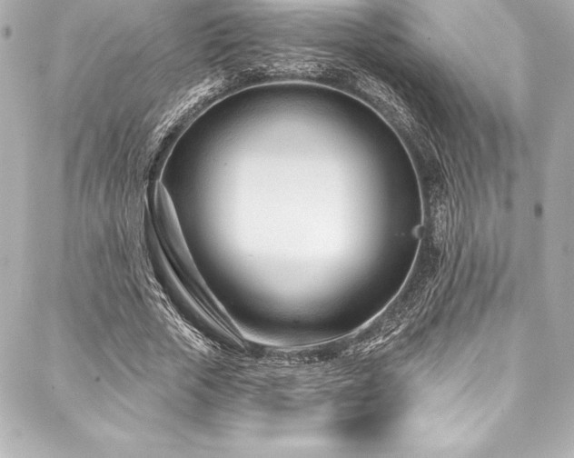 X0000088040729200705111230