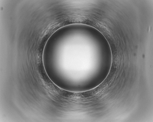 X0000088040743200705111230