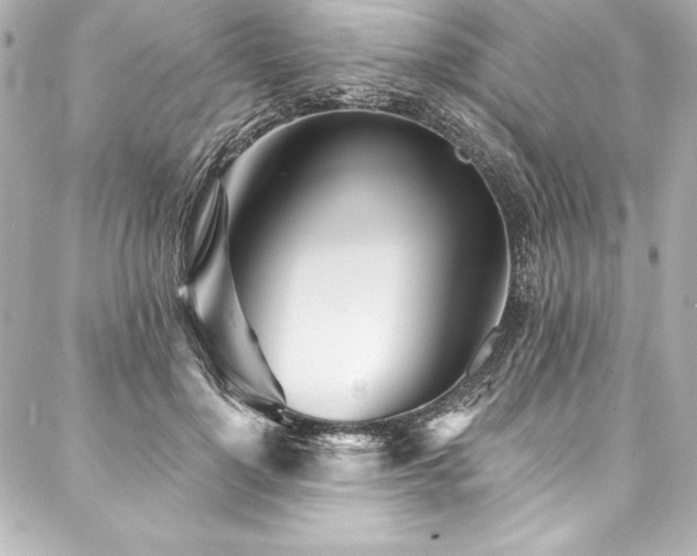 X0000088040748200705111230