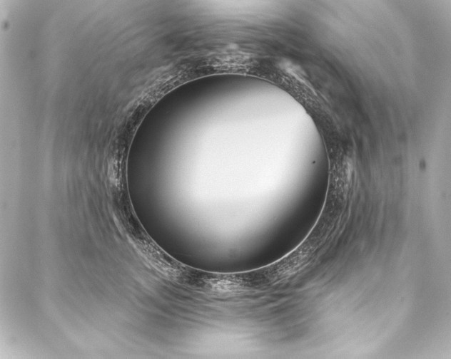 X0000088040755200705111230