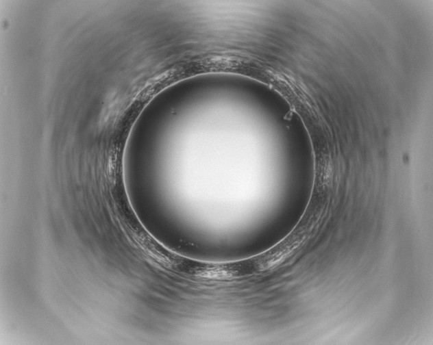 X0000088040759200705111231
