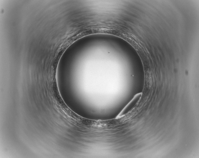 X0000088040760200705111231