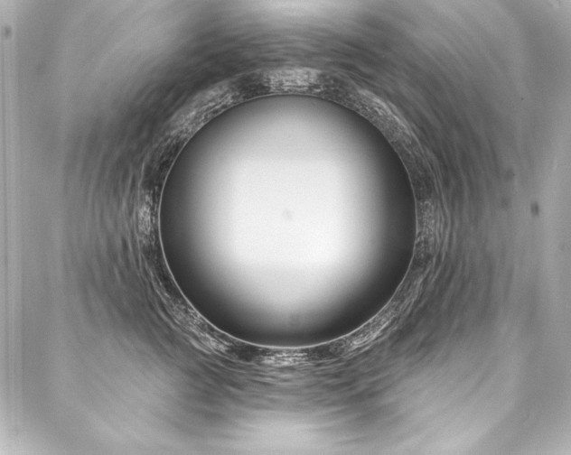 X0000088040761200705111231