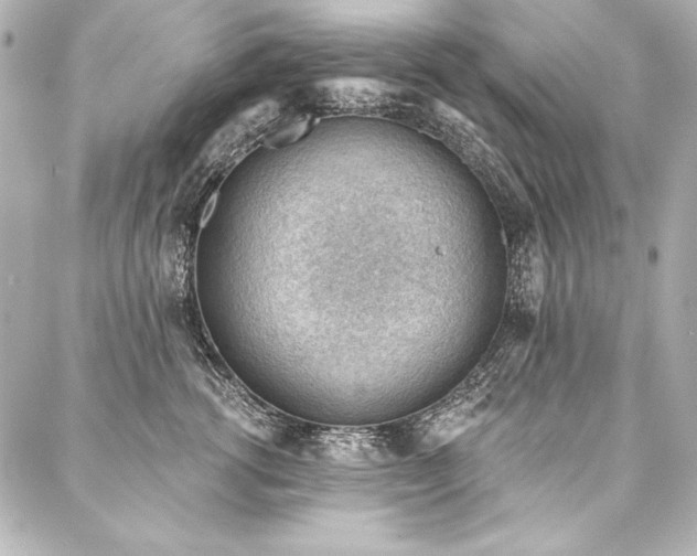 X0000088040762200705111231