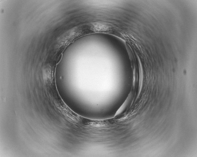 X0000088040763200705111231