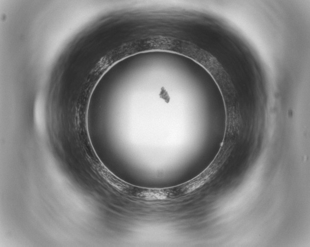 X0000088040765200705111231