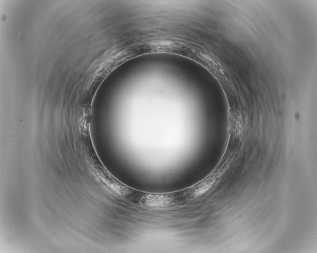X0000088040766200705111231