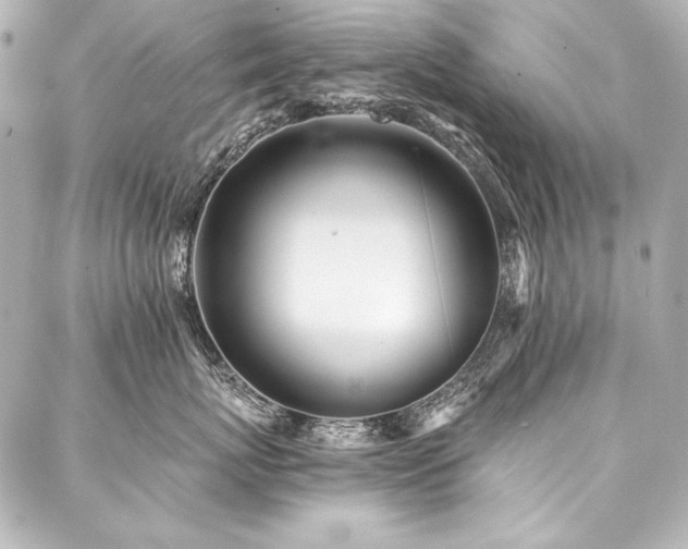 X0000088040767200705111231