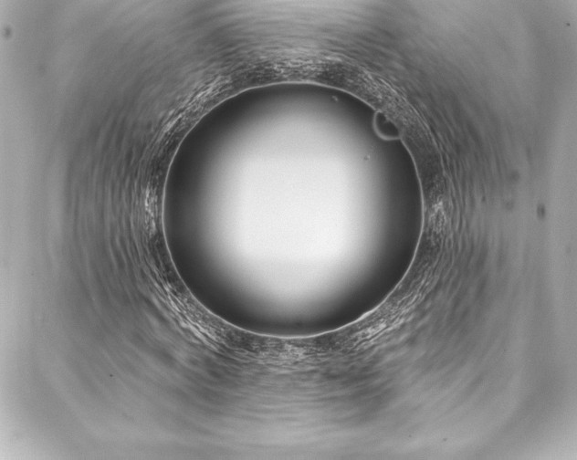 X0000088040772200705111230