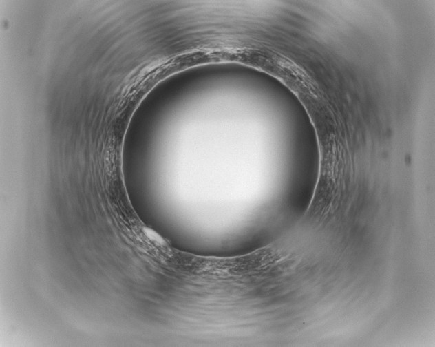 X0000088040773200705111230