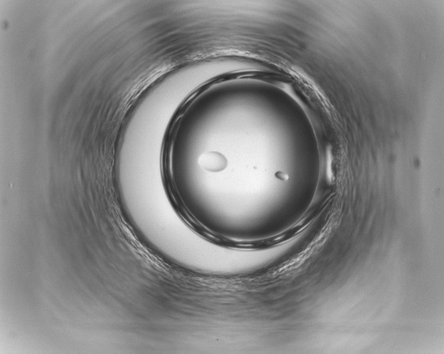 X0000088040785200705111230
