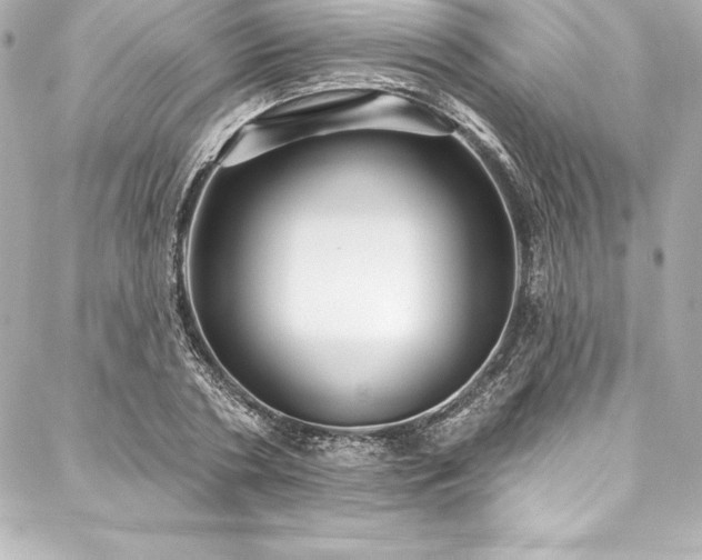 X0000088040786200705111230