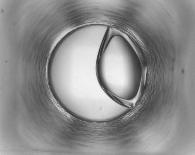 X0000088040788200705111230