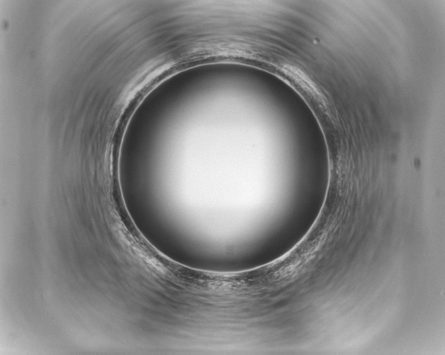 X0000088040790200705111230