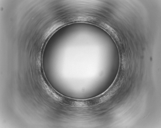 X0000088040794200705111229