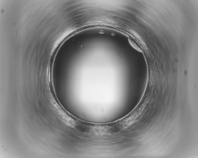 X0000088040796200705111229