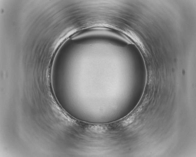 X0000088040806200705111229