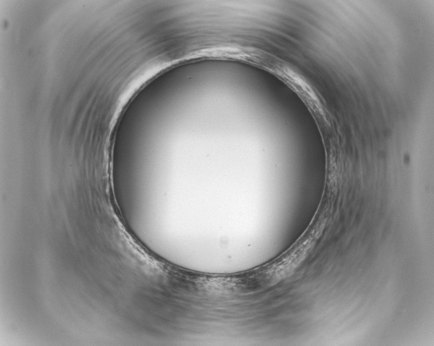 X0000088040808200705111229
