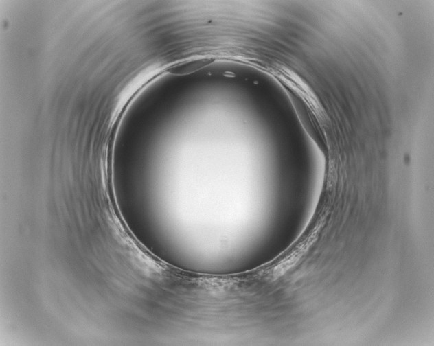 X0000088040812200705111229