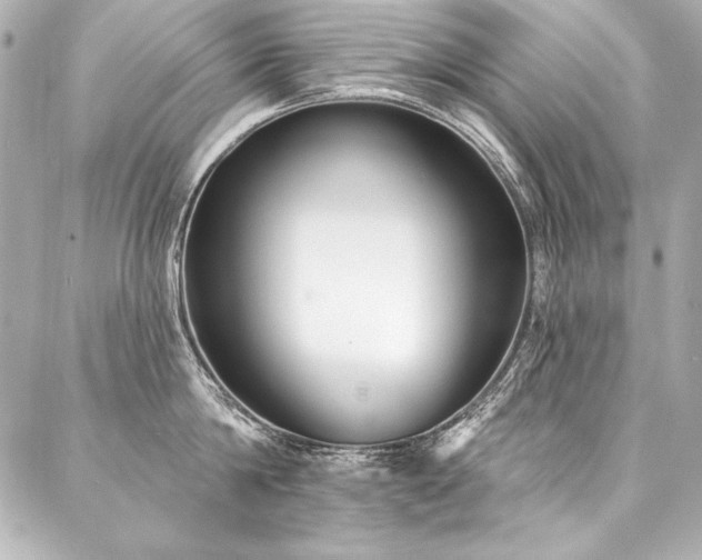 X0000088040814200705111229