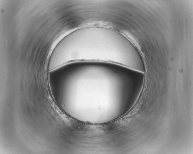 X0000088040816200705111229