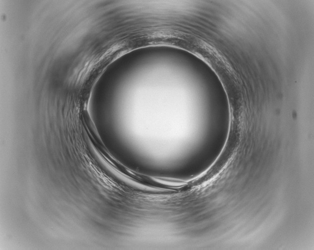 X0000088040825200705111228