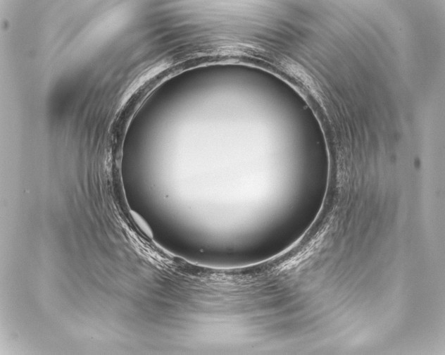 X0000088040827200705111229
