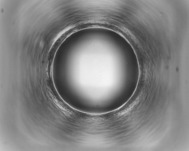 X0000088040830200705111229