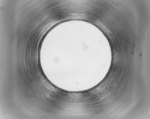 X0000088040836200705111229