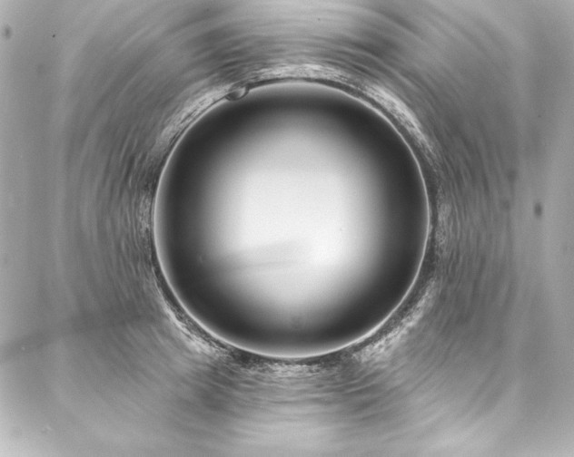 X0000088040849200705111229