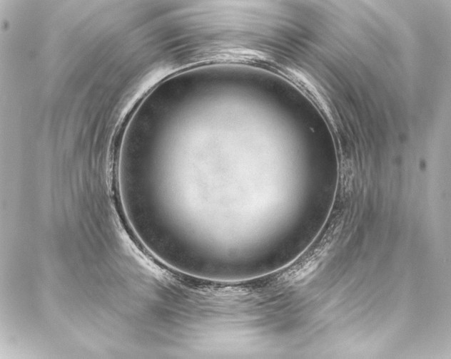 X0000088040851200705111229
