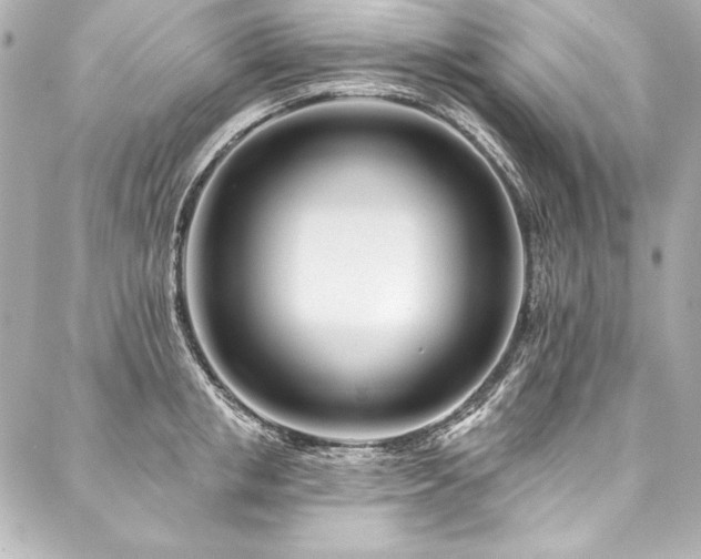 X0000088040853200705111229