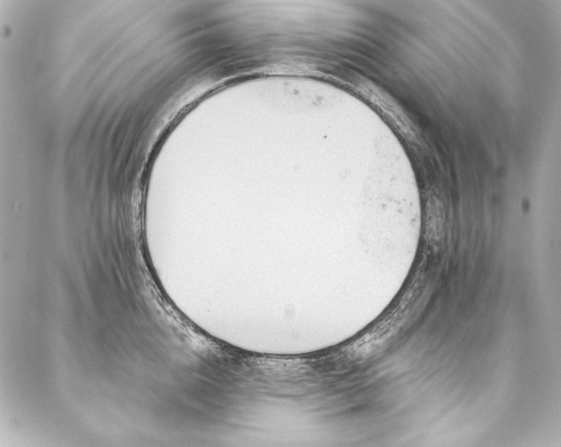 X0000088040856200705111229