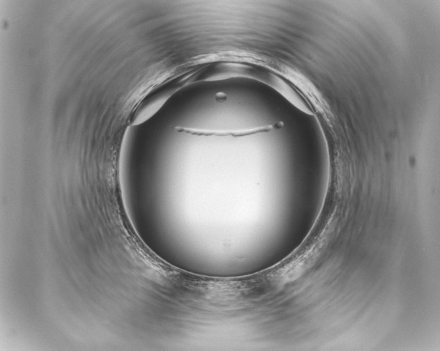X0000088040857200705111229