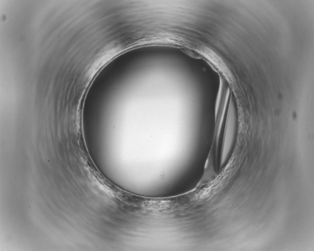 X0000088040858200705111229