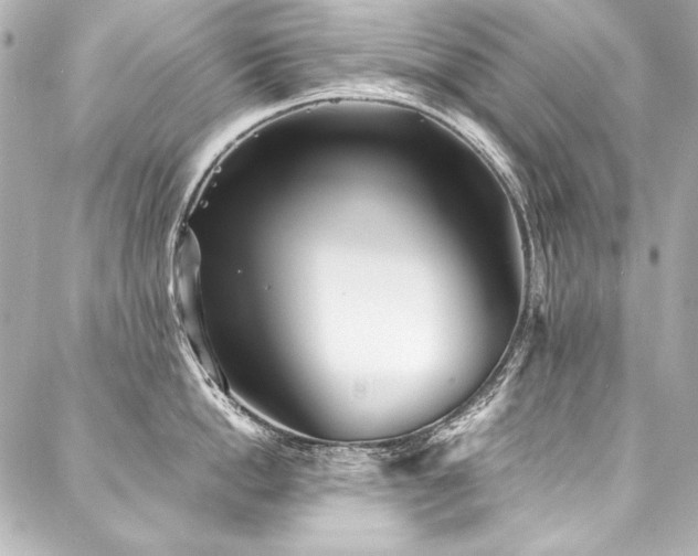 X0000088040862200705111229