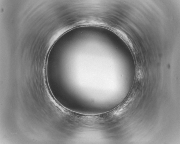 X0000088040863200705111229