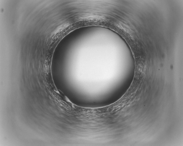 X0000088040869200705111228